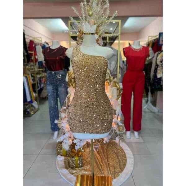 Golden Nude Sequence Dress
